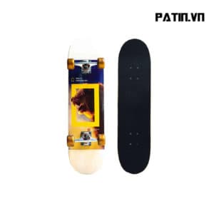 Ván trượt Skateboard 950-08